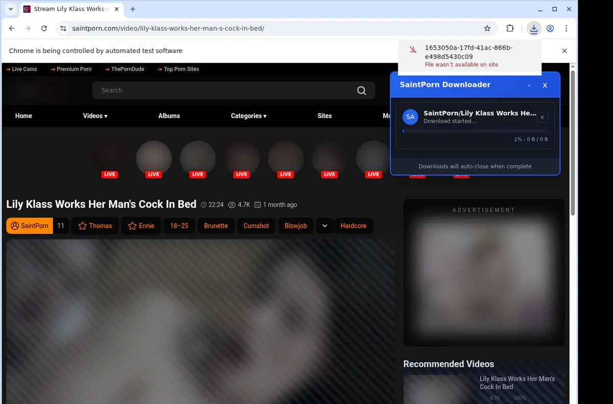 Saintporn Video Downloader screenshot 2