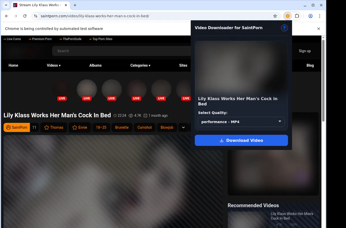 Saintporn Video Downloader screenshot 3