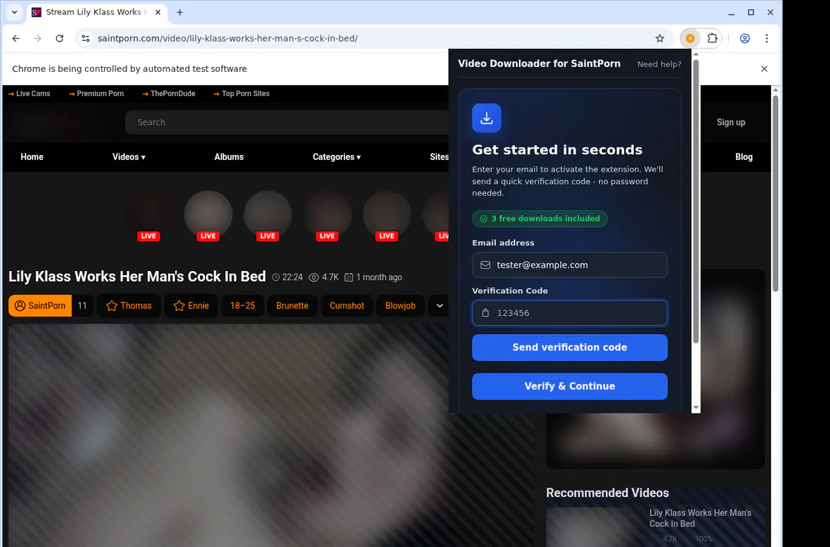 Saintporn Video Downloader screenshot 4
