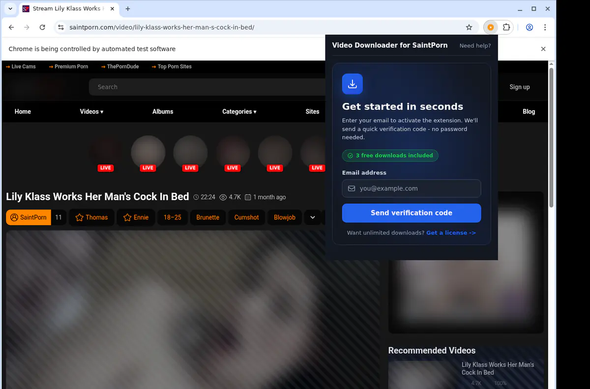 Saintporn Video Downloader screenshot 5
